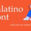 Palatino Font