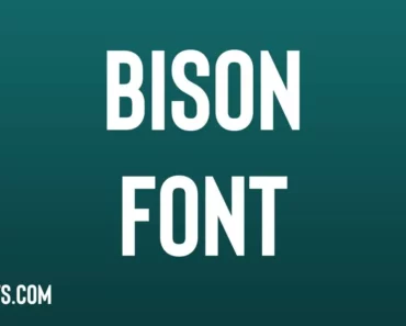 Bison Font