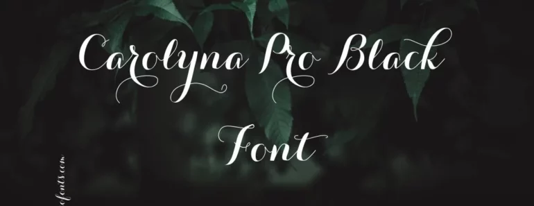 Carolyna Pro Black Font