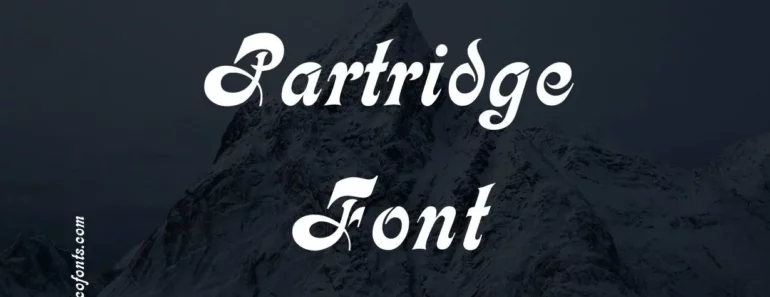 Partridge Font
