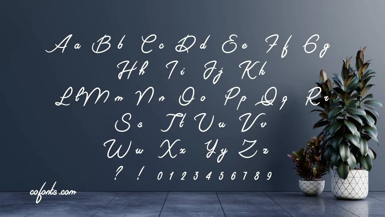 Riviera Signature Font View